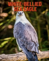 White-Bellied Sea Eagle: Learn About White-Bellied Sea Eagle and Enjoy Colorful Pictures B08MHKVLN5 Book Cover