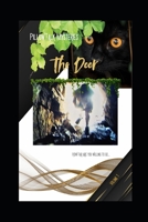 PillowTalk Mysteries: The Door B0DY467D8Z Book Cover