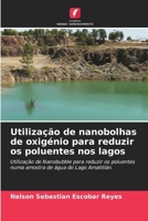 Utilização de nanobolhas de oxigénio para reduzir os poluentes nos lagos 6206978192 Book Cover