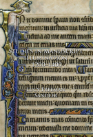Studies in Manuscript Illumination, 1200-1400 1904597394 Book Cover