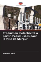 Production d'électricité à partir d'eaux usées pour la ville de Shirpur 6205382865 Book Cover