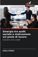 Sinergia tra audit sociale e motivazione sul posto di lavoro (Italian Edition) 6207942744 Book Cover