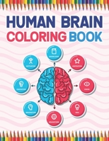Human Brain Coloring Book: The Human Brain Coloring Book. Human Brain Model Anatomy, Human Brain Diagram, Human Brain Art, Human Brain and Human ... Nurses Doctors & Nursing Students. B08N3JM547 Book Cover