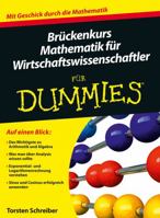 Bruckenkurs Mathematik fur Wirtschaftswissenschaftler fur Dummies [German] 3527707441 Book Cover