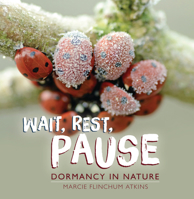 Wait, Rest, Pause: Dormancy in Nature 1728477719 Book Cover