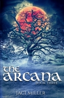 The Arcana (The Scrying Trilogy: A dark contemporary portal fantasy) 0998806943 Book Cover