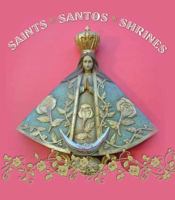 Saints, Santos, and Shrines 1423631404 Book Cover