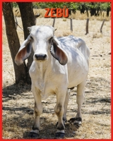 Zeb: Fatti divertenti e foto incredibili degli animali nella natura B08XLNTJ95 Book Cover