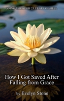 How I Got Saved After Falling From Grace: Going Through 23 Years of Hell B0FDQZ3FQX Book Cover