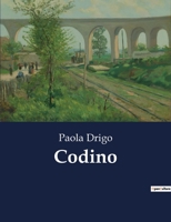 Codino B0CHHQF4WP Book Cover
