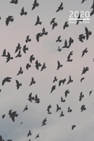 A5 2020 Diary Week To View Paperback Cover With Alternative Design: Raven Diary Cover, Year Planner For Business, Office, Home, University, College, School, Appointments, Organizer. 1692603795 Book Cover