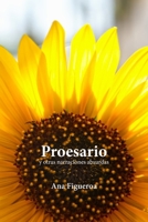 Proesario y otras narraciones absurdas (Spanish Edition) B0FM3WVPHR Book Cover
