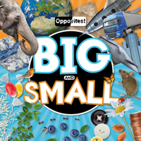 Big and Small 1786374161 Book Cover