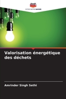 Valorisation énergétique des déchets (French Edition) 6209071252 Book Cover
