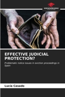 Effective Judicial Protection? 620658013X Book Cover