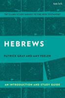 Hebrews: An Introduction and Study Guide 0567674754 Book Cover