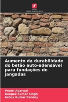 Aumento da durabilidade do betão auto-adensável para fundações de jangadas (Portuguese Edition) 6209961711 Book Cover