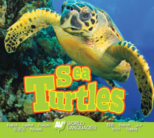 Sea Turtles 1489672664 Book Cover