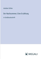 Der Nachsommer; Eine Erzählung: in Großdruckschrift (German Edition) 3387316305 Book Cover
