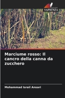 Marciume rosso: Il cancro della canna da zucchero 6207335767 Book Cover