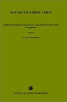 Advanced Gasification: Methanol Production from Wood - Results of the EEC Pilot Programme (Solar Energy R&D in the Ec Series E:) 9027722129 Book Cover