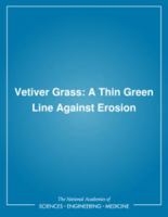 Vetiver Grass: A Thin Green Line Against Erosion