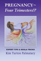 Pregnancy Four Trimesters!? 1917239920 Book Cover