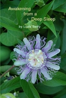 Awakening from a Deep Sleep 1435716655 Book Cover