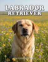 Labrador Retriever Photography Book: A Heartwarming Visual Journey Through The Lab Life B0GGZTTKW7 Book Cover