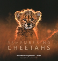 Remembering Cheetahs 199964333X Book Cover