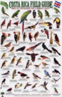 Mexico Pacific Coast Butterflies Identification Guide (Laminated Foldout Pocket Field Guide) 1888538104 Book Cover