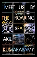 Meet Us by the Roaring Sea: A Novel 0374177708 Book Cover