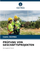 Prüfung Von Geschäftsprojekten (German Edition) 6209704301 Book Cover