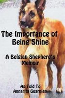 The Importance of Being Shine 0988667029 Book Cover