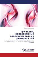 Tri-tkani, obrazovannye sloeniyami raznykh razmernostey: Algebraicheskiy i geometricheskiy aspekty teorii 3847324829 Book Cover