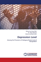 Depression Level 6205528045 Book Cover