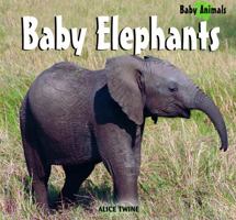 Baby Elephants (Baby Animals) 1404276831 Book Cover