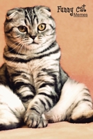 Funny Cat Memes Training For Healthy Life Log Book: 90 Day Diet and Exercise Fitness Journal Activity Tracker | 3 Month Diet Plan to Lose Weight | ... Note Weekly | Funny Cat Memes Design Cover 1657437892 Book Cover