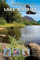 Birdwatching Walks in the Lake District 1874181675 Book Cover