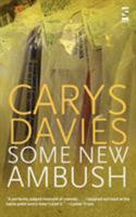 Some New Ambush (Salt Modern Fiction) 1844713415 Book Cover