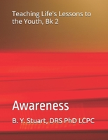 Teaching Life's Lessons to the Youth, Book 2: Awareness 1463503695 Book Cover