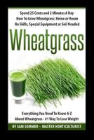 Spend 25 Cents and 2 Minutes a Day How to Grow Wheatgrass: Home or Room No Skills, Special Equipment or Soil Needed: Wheatgrass Everything You Need to Know A-Z about Wheatgrass-#1 Way to Lose Weight 1520375425 Book Cover