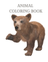 Animal Coloring Book: Actvity Coloring Pages for Kids B08L6S1SYM Book Cover