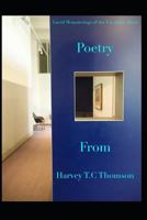 Lucid Meanderings of the Unstable Mind 1980326665 Book Cover