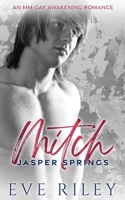 Mitch: An MM Gay Awakening Romance (Jasper Springs) 1773576488 Book Cover