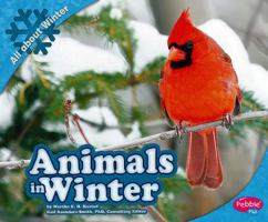 Animals in Winter (Pebble Plus) 1429622008 Book Cover