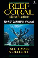 Reef Coral Identification: Florida Caribbean Bahamas