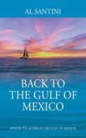 Back to the Gulf of Mexico: A Sequel to Alone in the Gulf of Mexico 1478790040 Book Cover