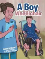 A Boy in a Wheelchair 1543421946 Book Cover