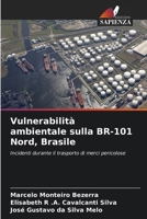 Vulnerabilità ambientale sulla BR-101 Nord, Brasile (Italian Edition) 6208115574 Book Cover